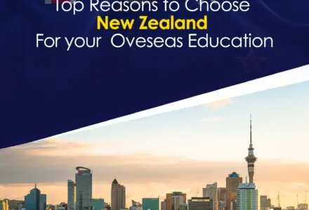 Reasons to Choose New Zealand for Your Overseas Education
